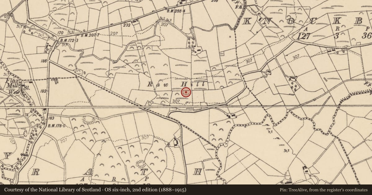 Ordnance Survey six-inch map, 2nd edition (1888–1915) covering the location of Ringfort - rath, Lisnapaste, County Donegal, with a pin at the register's coordinates