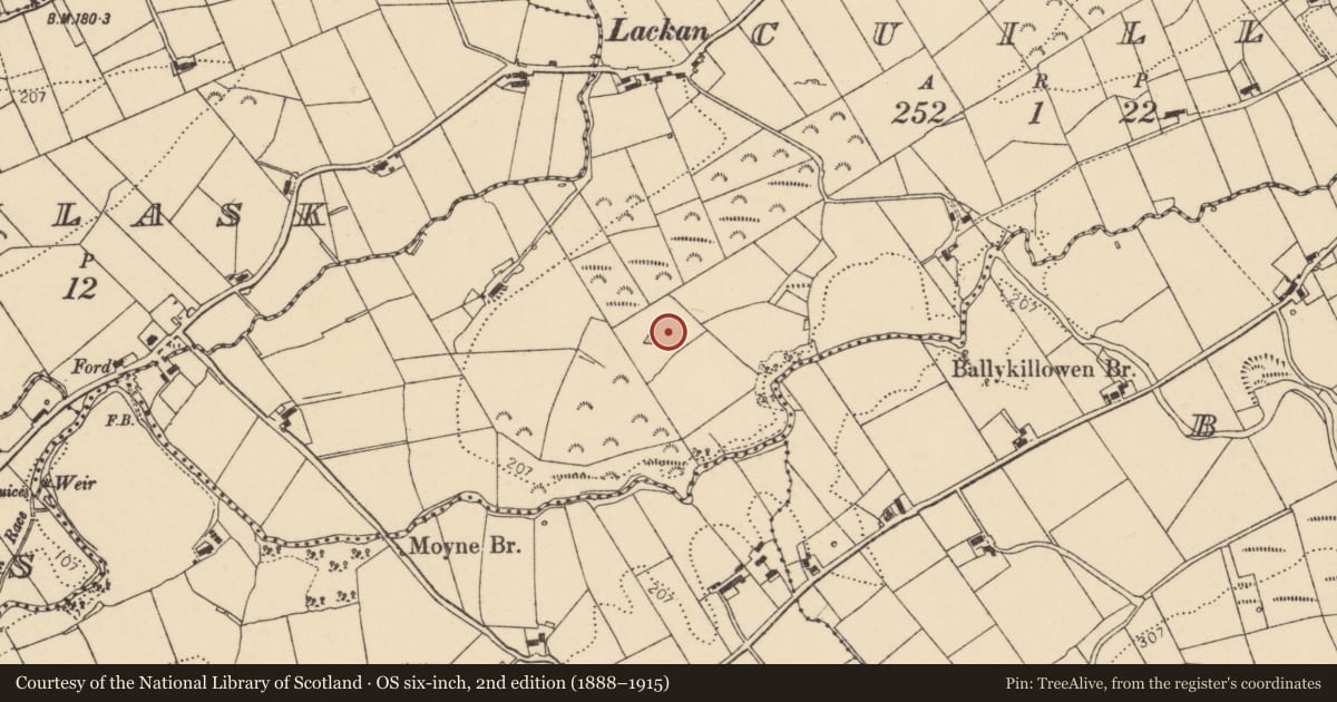 Ordnance Survey six-inch map, 2nd edition (1888–1915) covering the location of Enclosure, Cuilly, County Donegal, with a pin at the register's coordinates