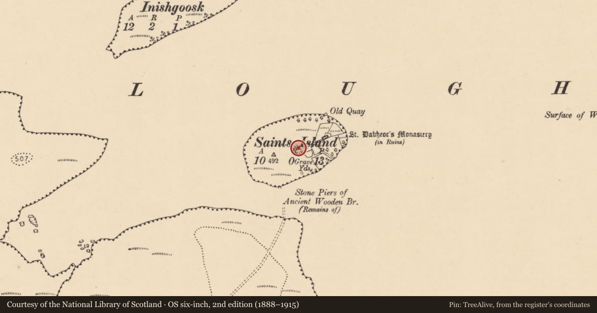 Ordnance Survey six-inch map, 2nd edition (1888–1915) covering the location of Enclosure, Saints Island, County Donegal, with a pin at the register's coordinates