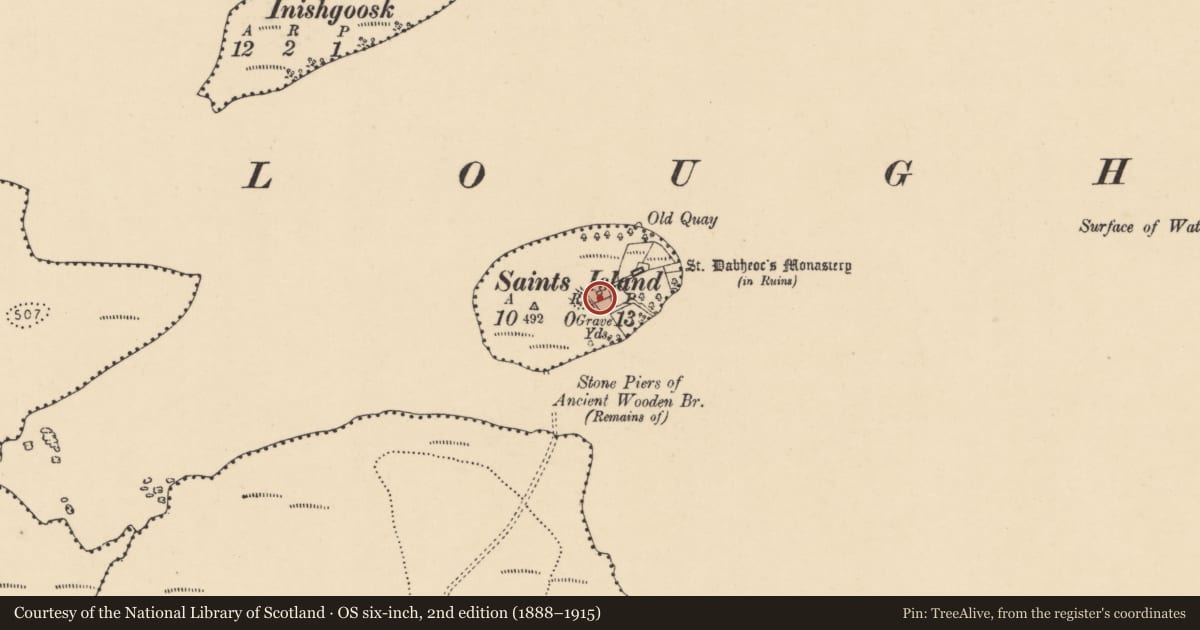 Ordnance Survey six-inch map, 2nd edition (1888–1915) covering the location of Graveyard, Saints Island, County Donegal, with a pin at the register's coordinates