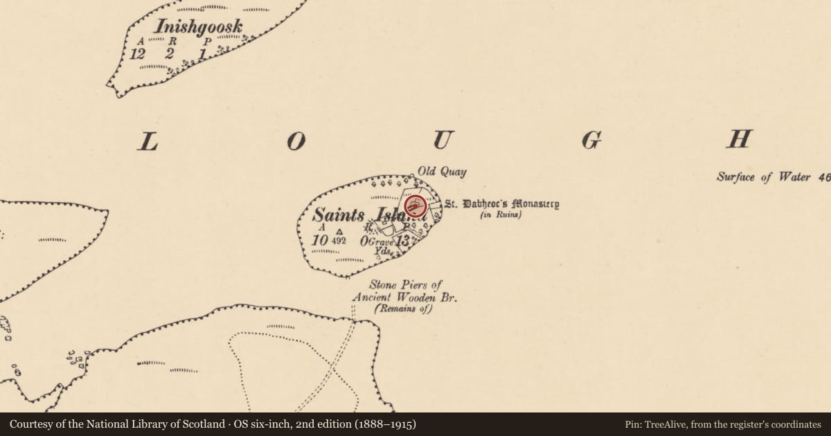 Ordnance Survey six-inch map, 2nd edition (1888–1915) covering the location of Enclosure, Saints Island, County Donegal, with a pin at the register's coordinates