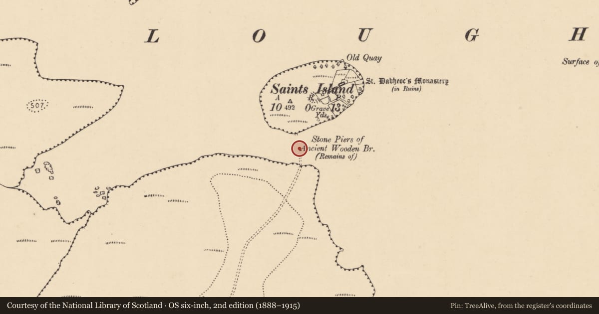 Ordnance Survey six-inch map, 2nd edition (1888–1915) covering the location of Bridge, Lough Derg, County Donegal, with a pin at the register's coordinates