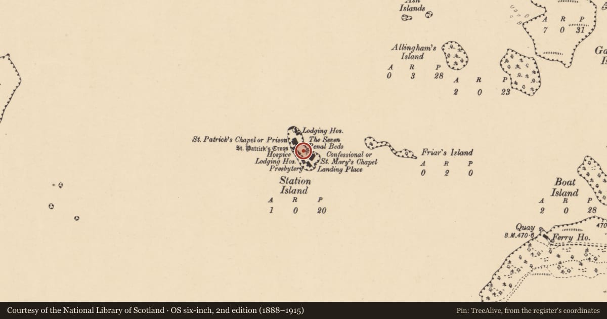 Ordnance Survey six-inch map, 2nd edition (1888–1915) covering the location of Stone sculpture, Station Island, County Donegal, with a pin at the register's coordinates
