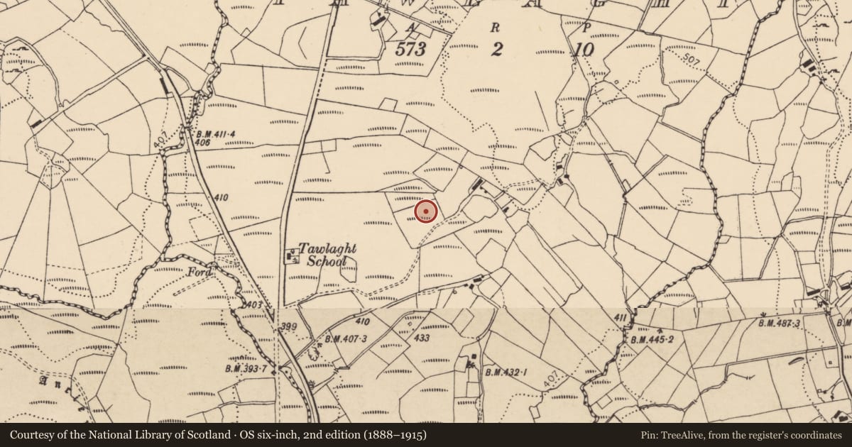 Ordnance Survey six-inch map, 2nd edition (1888–1915) covering the location of Megalithic tomb - wedge tomb, Tawlaght, County Donegal, with a pin at the register's coordinates