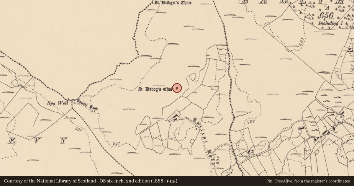 Ordnance Survey six-inch map, 2nd edition (1888–1915) covering the location of Ritual site - holy/saint's stone, Carn, County Donegal, with a pin at the register's coordinates