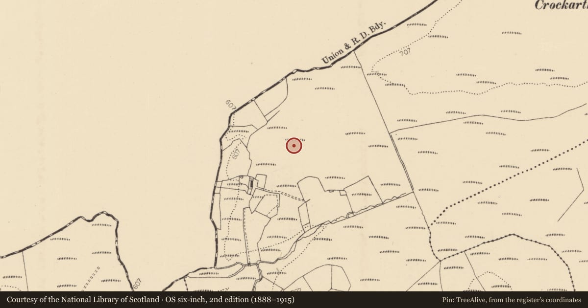 Ordnance Survey six-inch map, 2nd edition (1888–1915) covering the location of Stone circle, Cashelenny, County Donegal, with a pin at the register's coordinates