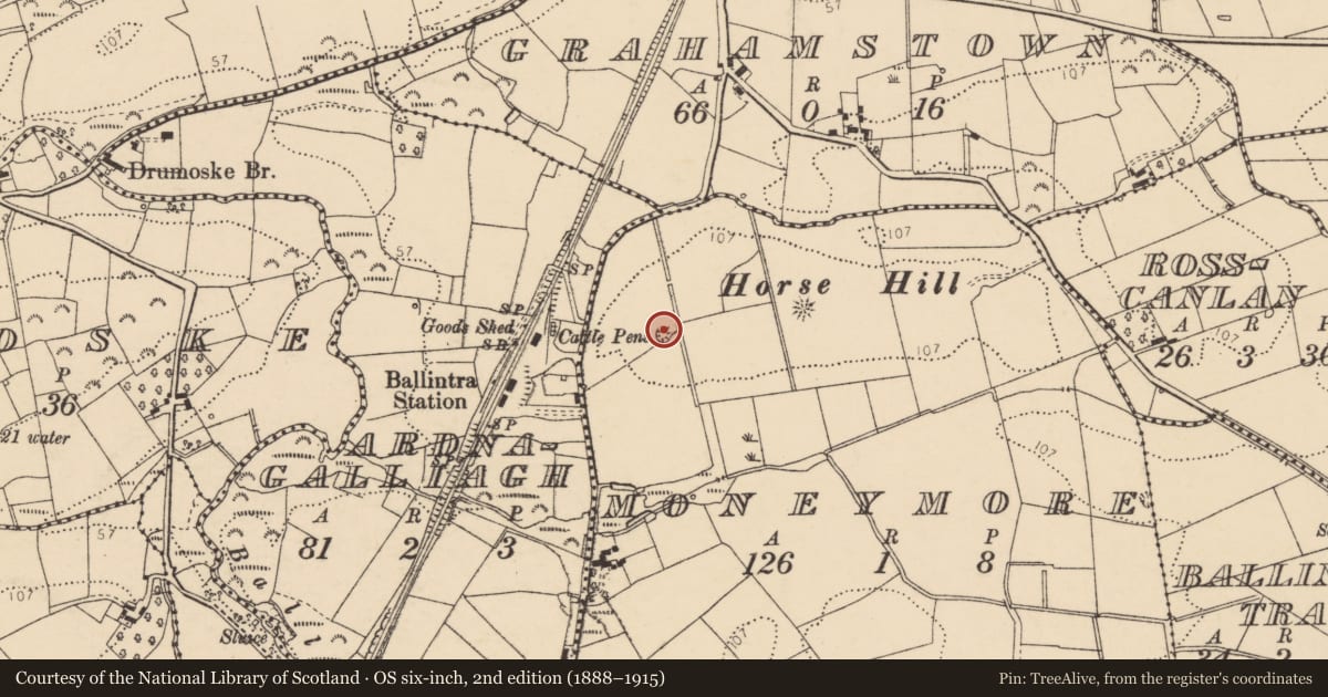 Ordnance Survey six-inch map, 2nd edition (1888–1915) covering the location of Ringfort - rath, Moneymore, County Donegal, with a pin at the register's coordinates