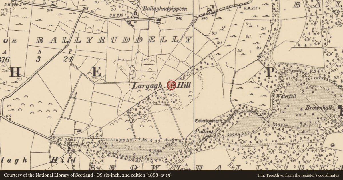 Ordnance Survey six-inch map, 2nd edition (1888–1915) covering the location of Ringfort - rath, Brownhall Demesne, County Donegal, with a pin at the register's coordinates