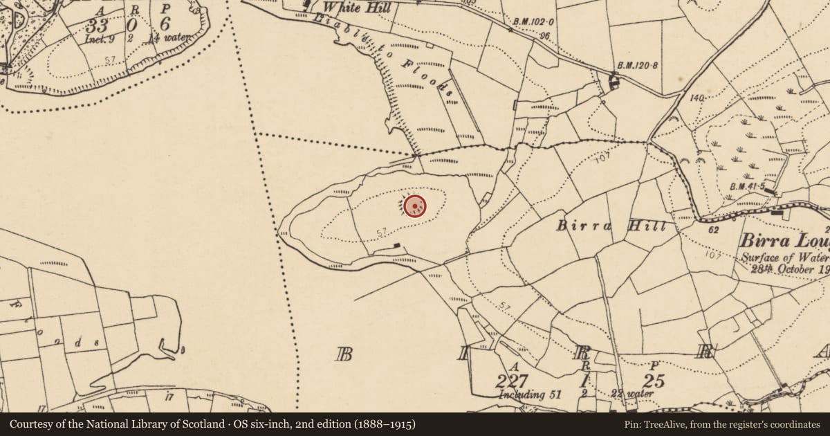 Ordnance Survey six-inch map, 2nd edition (1888–1915) covering the location of Ringfort - rath, Birra, County Donegal, with a pin at the register's coordinates