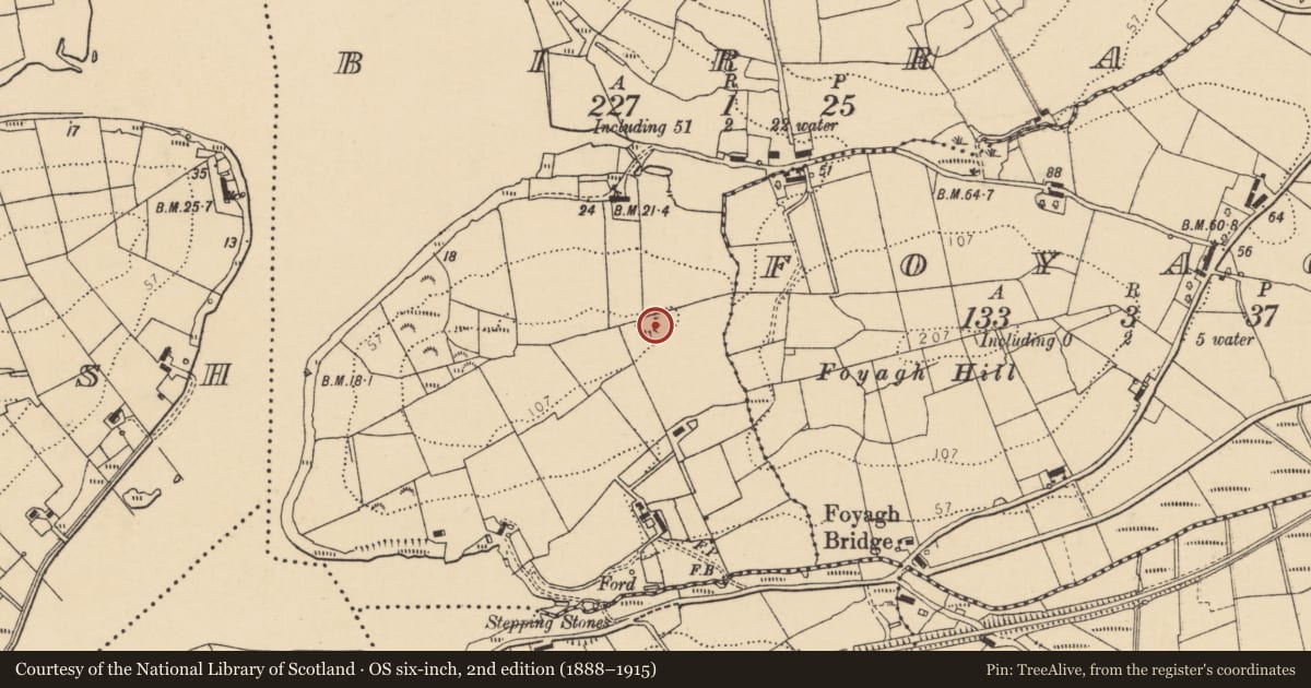 Ordnance Survey six-inch map, 2nd edition (1888–1915) covering the location of Ringfort - rath, Birra, County Donegal, with a pin at the register's coordinates
