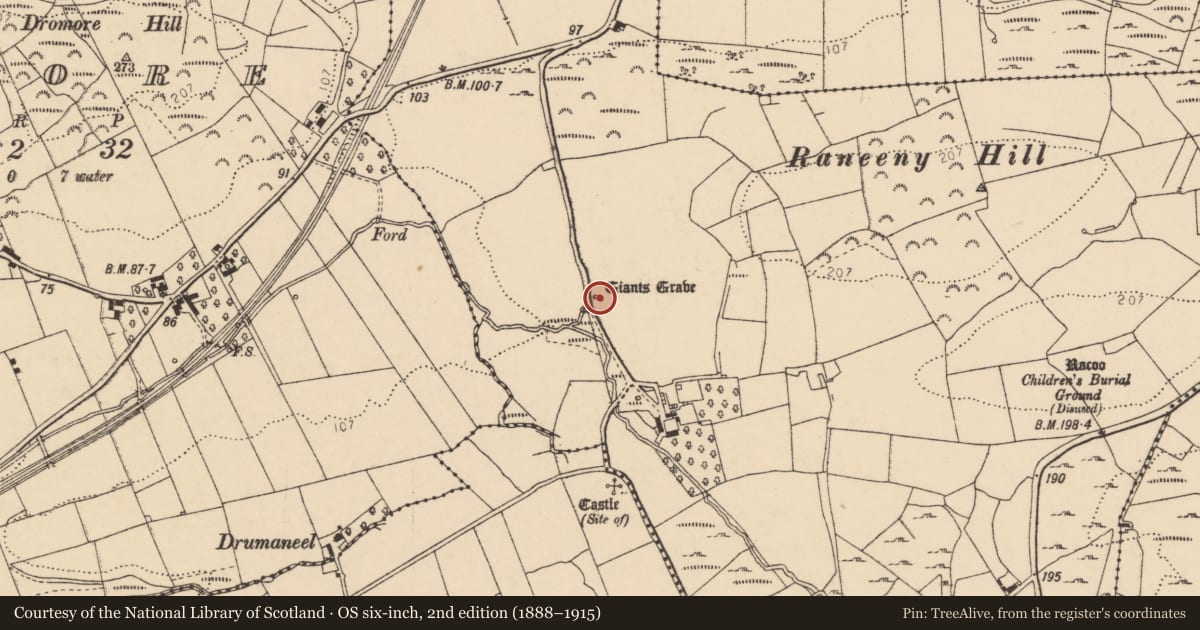 Ordnance Survey six-inch map, 2nd edition (1888–1915) covering the location of Megalithic tomb - wedge tomb, Ballymagrorty Scotch, County Donegal, with a pin at the register's coordinates