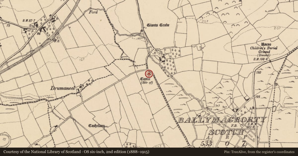 Ordnance Survey six-inch map, 2nd edition (1888–1915) covering the location of Castle - unclassified, Ballymagrorty Irish, County Donegal, with a pin at the register's coordinates