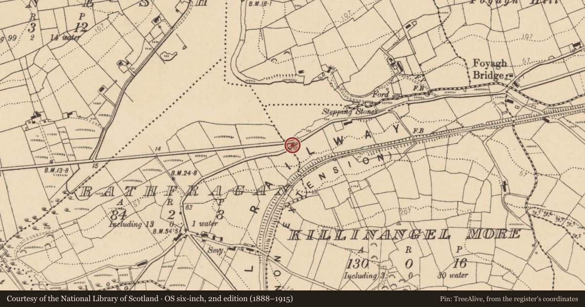 Ordnance Survey six-inch map, 2nd edition (1888–1915) covering the location of Burial ground, Killinangel More, County Donegal, with a pin at the register's coordinates