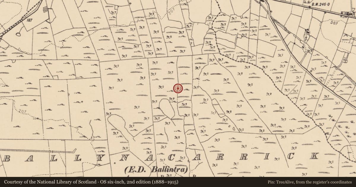 Ordnance Survey six-inch map, 2nd edition (1888–1915) covering the location of Ringfort - cashel, Ballynacarrick, County Donegal, with a pin at the register's coordinates