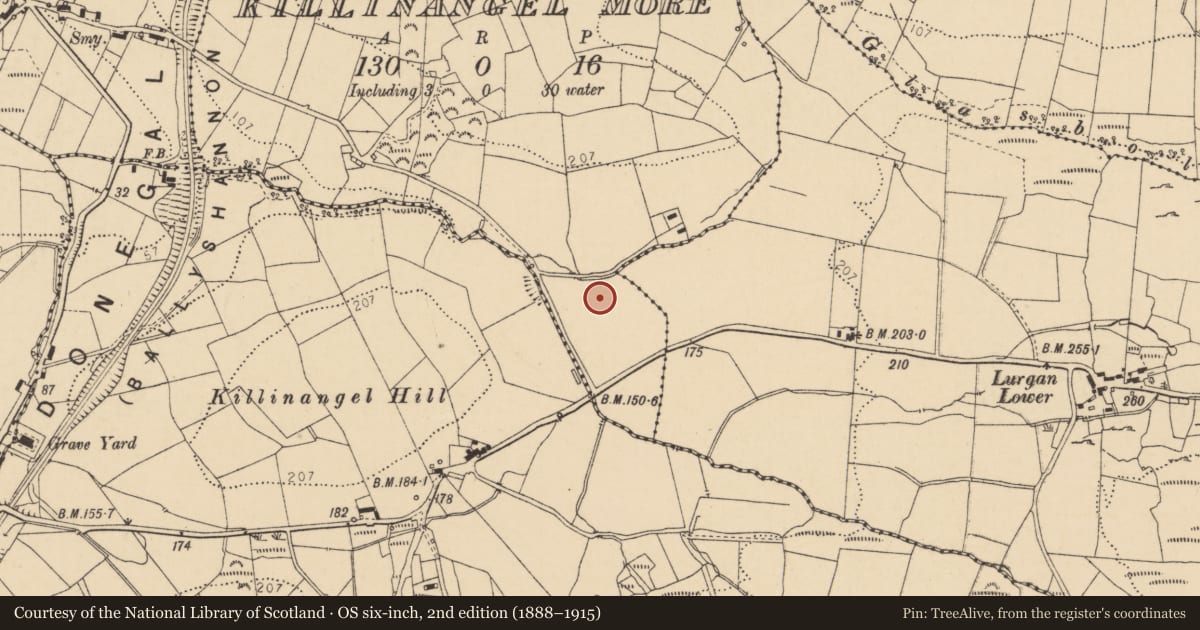 Ordnance Survey six-inch map, 2nd edition (1888–1915) covering the location of Souterrain, Killinangel More, County Donegal, with a pin at the register's coordinates