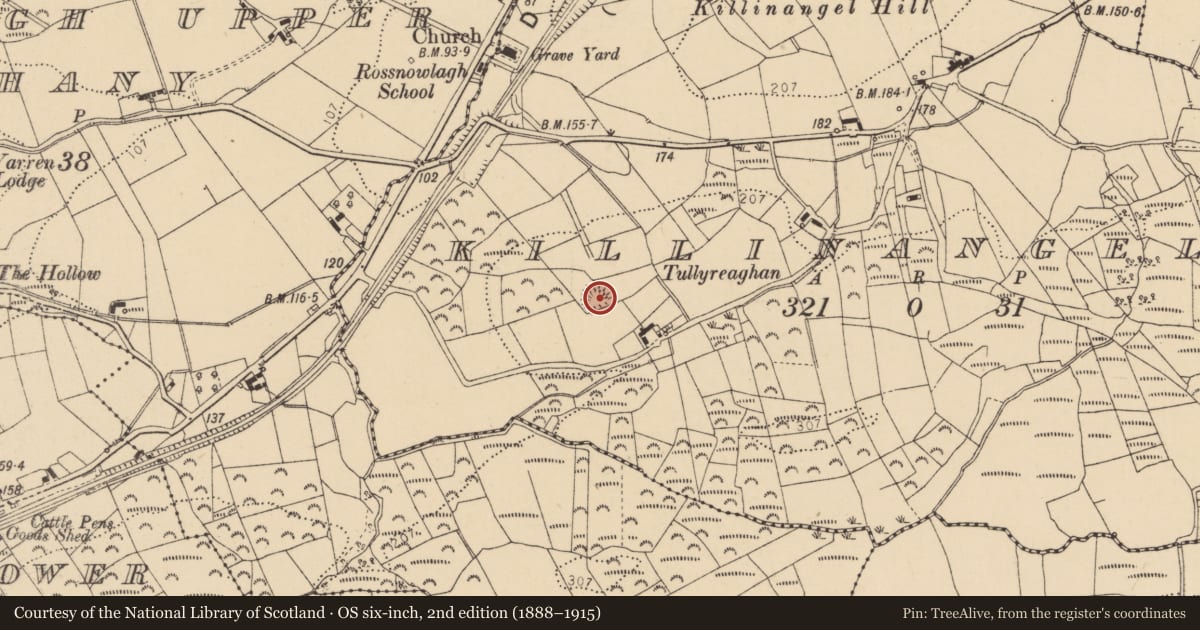 Ordnance Survey six-inch map, 2nd edition (1888–1915) covering the location of Ringfort - rath, Killinangel Beg, County Donegal, with a pin at the register's coordinates