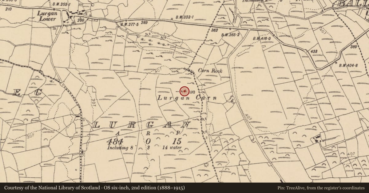 Ordnance Survey six-inch map, 2nd edition (1888–1915) covering the location of Cairn - unclassified, Lurgan, County Donegal, with a pin at the register's coordinates
