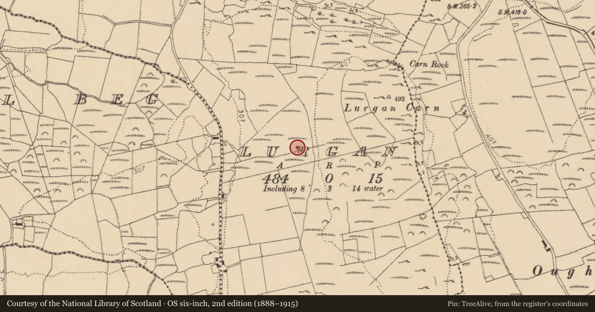 Ordnance Survey six-inch map, 2nd edition (1888–1915) covering the location of Megalithic tomb - court tomb, Lurgan, County Donegal, with a pin at the register's coordinates