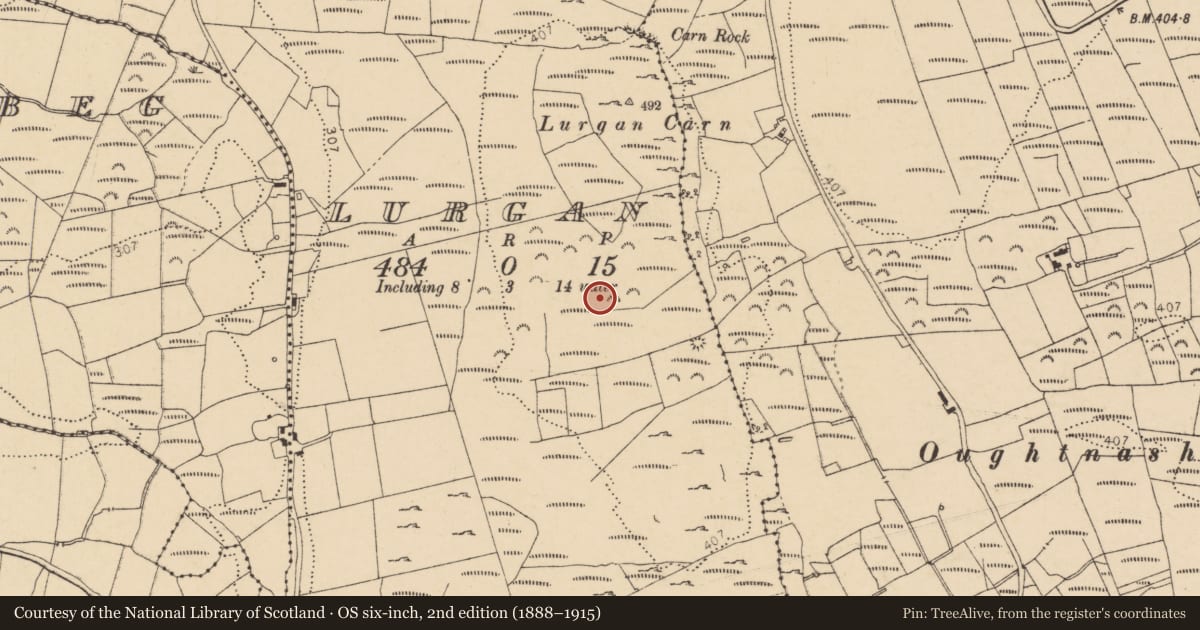 Ordnance Survey six-inch map, 2nd edition (1888–1915) covering the location of Hut site, Lurgan, County Donegal, with a pin at the register's coordinates