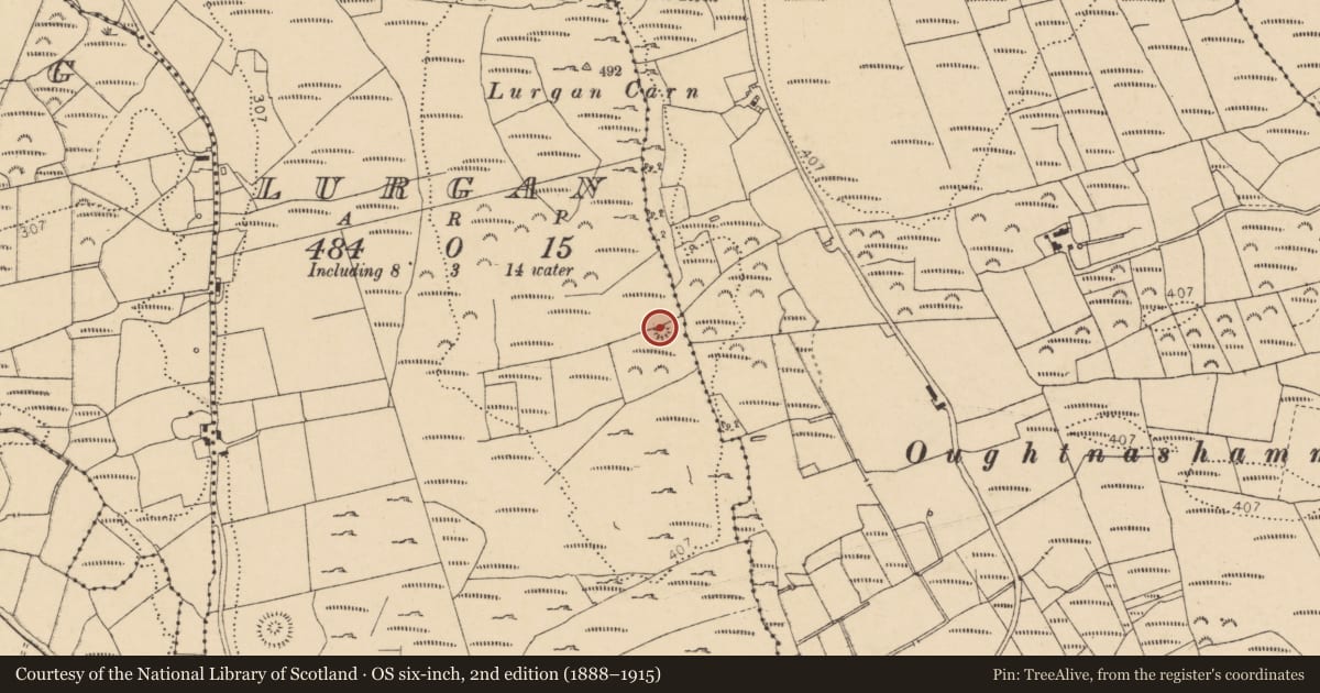 Ordnance Survey six-inch map, 2nd edition (1888–1915) covering the location of Cairn - unclassified, Lurgan, County Donegal, with a pin at the register's coordinates