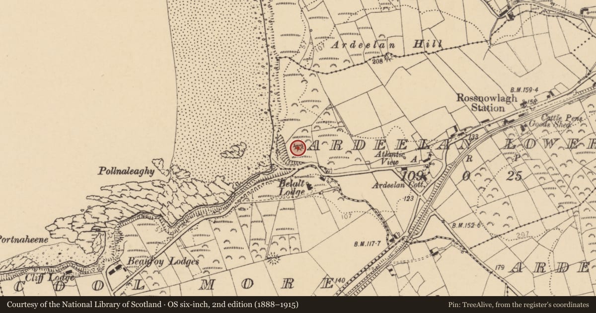Ordnance Survey six-inch map, 2nd edition (1888–1915) covering the location of Ringfort - rath, Ardeelan Lower, County Donegal, with a pin at the register's coordinates