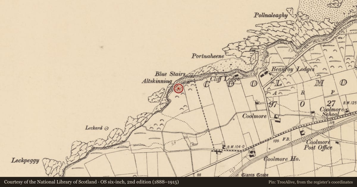 Ordnance Survey six-inch map, 2nd edition (1888–1915) covering the location of Ringfort - rath, Cool Beg, County Donegal, with a pin at the register's coordinates
