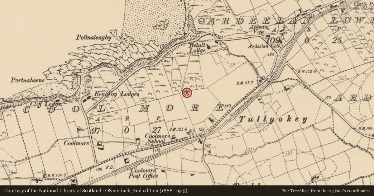 Ordnance Survey six-inch map, 2nd edition (1888–1915) covering the location of Ringfort - rath, Cool More, County Donegal, with a pin at the register's coordinates