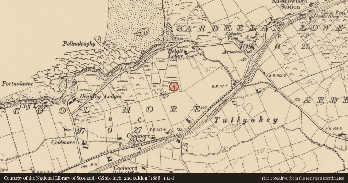 Ordnance Survey six-inch map, 2nd edition (1888–1915) covering the location of Bullaun stone, Cool More, County Donegal, with a pin at the register's coordinates