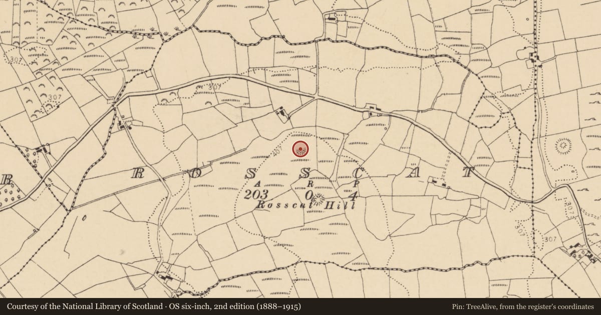 Ordnance Survey six-inch map, 2nd edition (1888–1915) covering the location of Ringfort - rath, Rosscat, County Donegal, with a pin at the register's coordinates