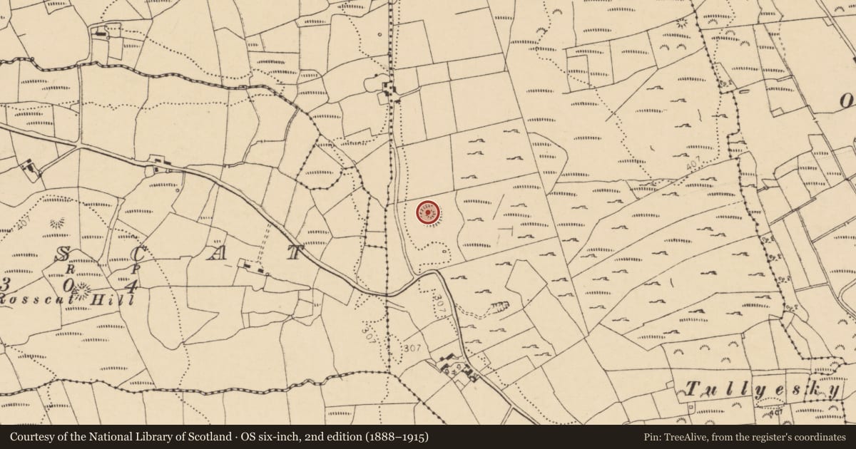 Ordnance Survey six-inch map, 2nd edition (1888–1915) covering the location of Ringfort - cashel, Lurgan, County Donegal, with a pin at the register's coordinates
