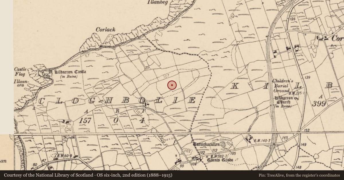 Ordnance Survey six-inch map, 2nd edition (1888–1915) covering the location of Ringfort - rath, An Chlochbhuaile (TC Béal Atha Seanaidh), County Donegal, with a pin at the register's coordinates