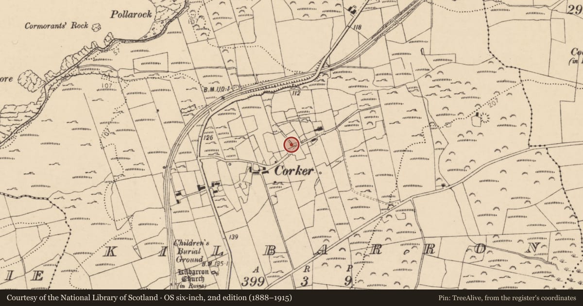 Ordnance Survey six-inch map, 2nd edition (1888–1915) covering the location of Bullaun stone, Kilbarron, County Donegal, with a pin at the register's coordinates