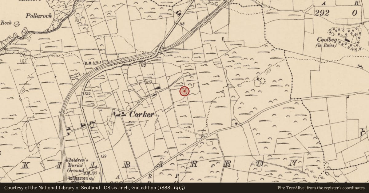 Ordnance Survey six-inch map, 2nd edition (1888–1915) covering the location of Anomalous stone group, Kilbarron, County Donegal, with a pin at the register's coordinates