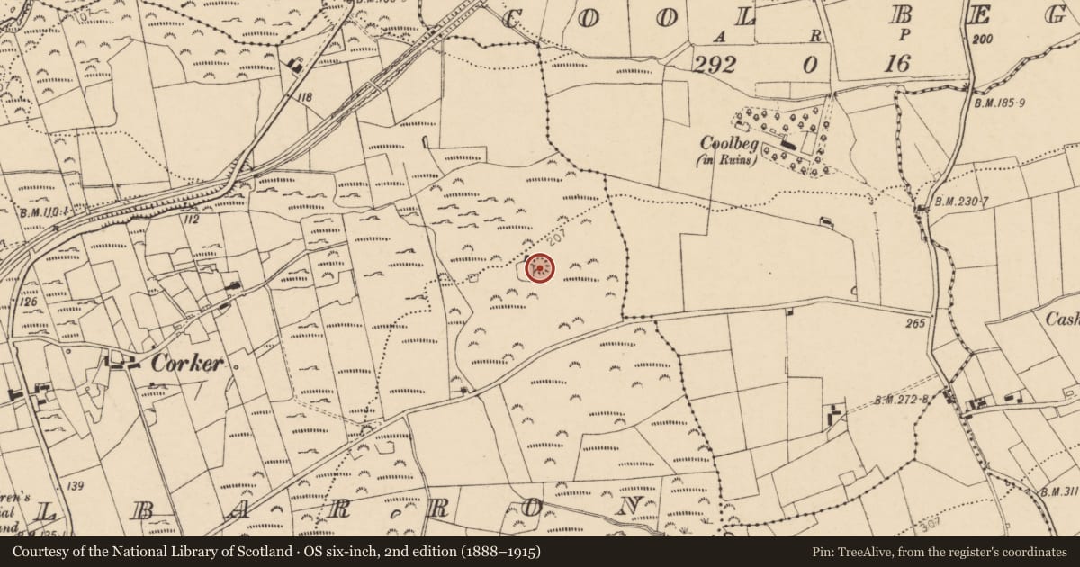 Ordnance Survey six-inch map, 2nd edition (1888–1915) covering the location of Ringfort - rath, Kilbarron, County Donegal, with a pin at the register's coordinates