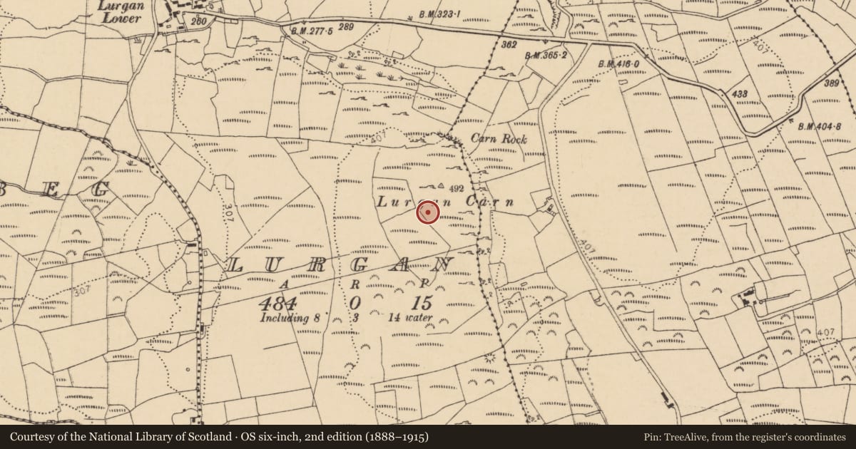 Ordnance Survey six-inch map, 2nd edition (1888–1915) covering the location of Hillfort, Lurgan, County Donegal, with a pin at the register's coordinates