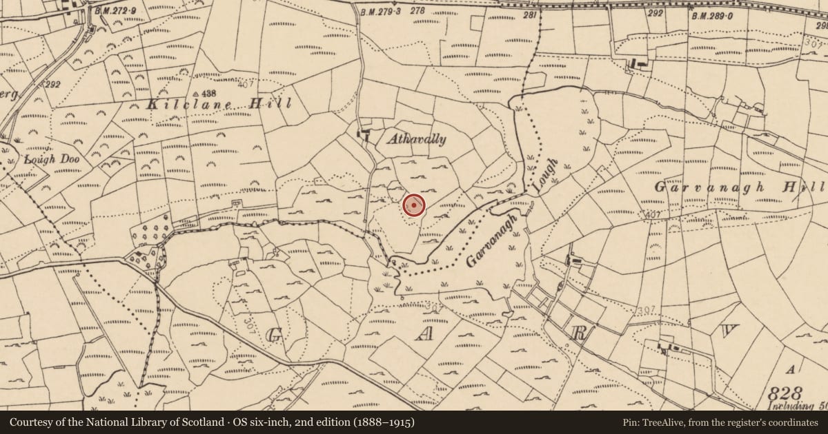 Ordnance Survey six-inch map, 2nd edition (1888–1915) covering the location of Enclosure, Ballymagrorty Scotch, County Donegal, with a pin at the register's coordinates