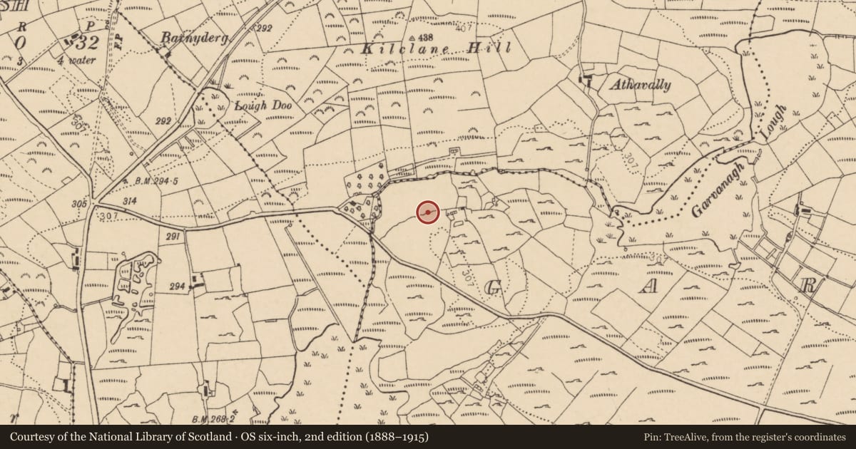 Ordnance Survey six-inch map, 2nd edition (1888–1915) covering the location of Hut site, Garvanagh, County Donegal, with a pin at the register's coordinates