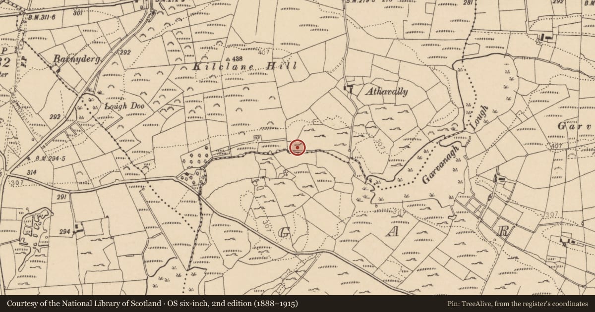 Ordnance Survey six-inch map, 2nd edition (1888–1915) covering the location of Burnt mound, Ballymagrorty Scotch, County Donegal, with a pin at the register's coordinates