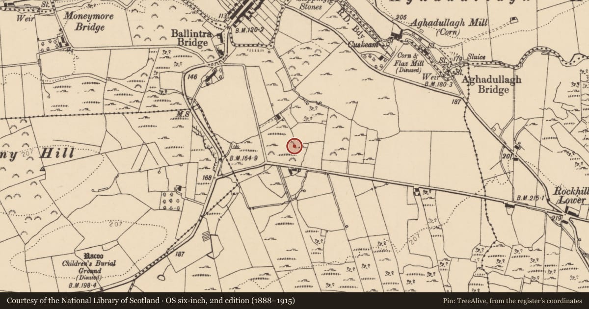Ordnance Survey six-inch map, 2nd edition (1888–1915) covering the location of Enclosure, Ballynacarrick, County Donegal, with a pin at the register's coordinates