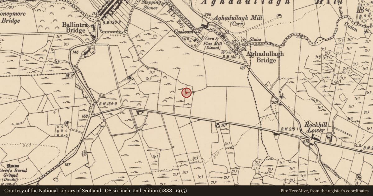 Ordnance Survey six-inch map, 2nd edition (1888–1915) covering the location of Enclosure, Ballynacarrick, County Donegal, with a pin at the register's coordinates