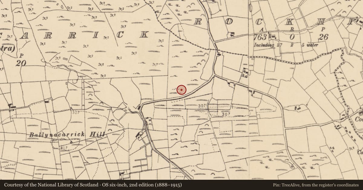 Ordnance Survey six-inch map, 2nd edition (1888–1915) covering the location of Enclosure, Ballynacarrick, County Donegal, with a pin at the register's coordinates