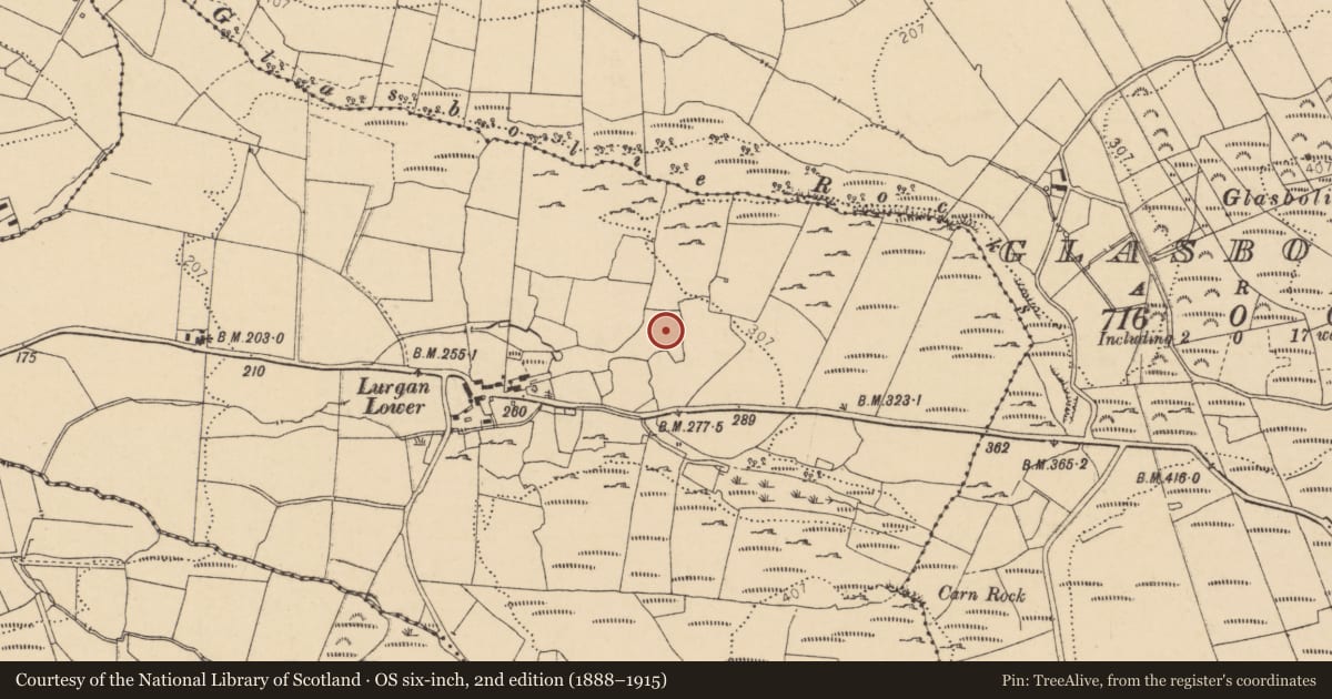 Ordnance Survey six-inch map, 2nd edition (1888–1915) covering the location of Enclosure, Lurgan, County Donegal, with a pin at the register's coordinates