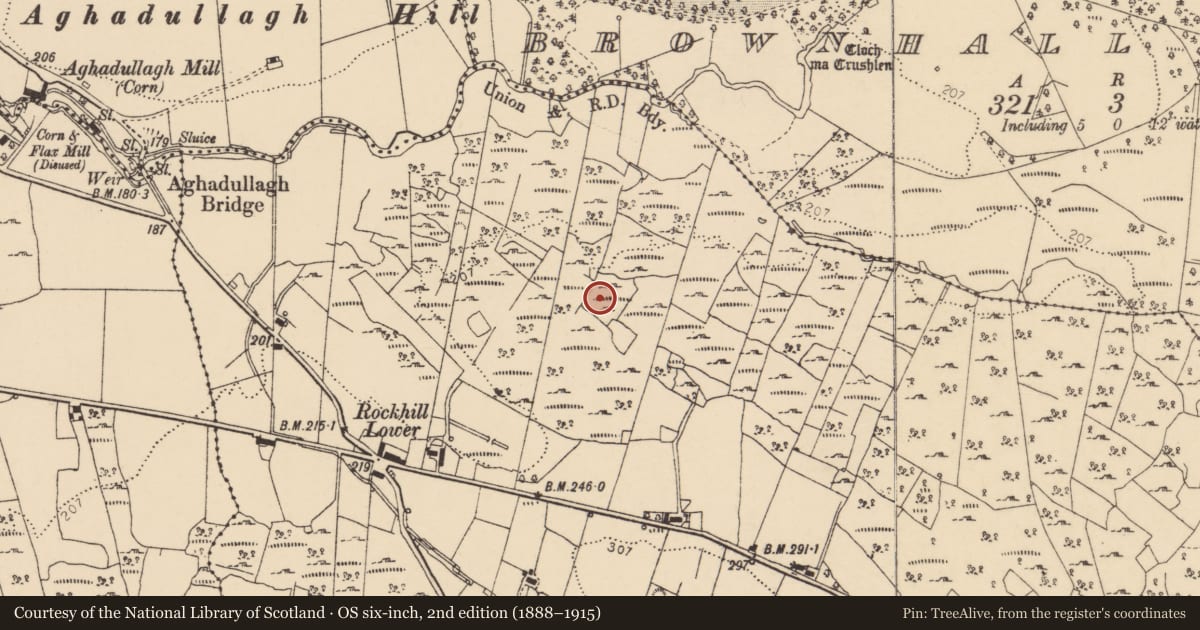 Ordnance Survey six-inch map, 2nd edition (1888–1915) covering the location of Enclosure, Rockhill, County Donegal, with a pin at the register's coordinates