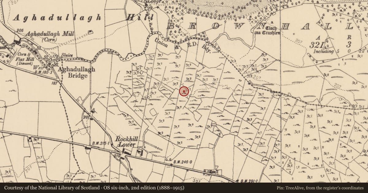 Ordnance Survey six-inch map, 2nd edition (1888–1915) covering the location of Enclosure, Rockhill, County Donegal, with a pin at the register's coordinates