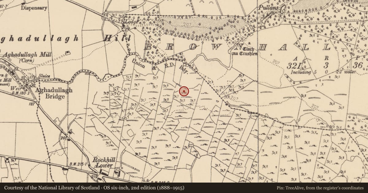 Ordnance Survey six-inch map, 2nd edition (1888–1915) covering the location of Souterrain, Rockhill, County Donegal, with a pin at the register's coordinates