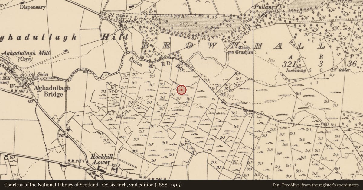 Ordnance Survey six-inch map, 2nd edition (1888–1915) covering the location of House - indeterminate date, Rockhill, County Donegal, with a pin at the register's coordinates