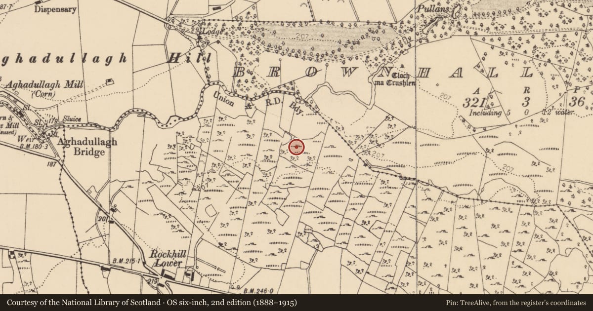 Ordnance Survey six-inch map, 2nd edition (1888–1915) covering the location of Enclosure, Rockhill, County Donegal, with a pin at the register's coordinates