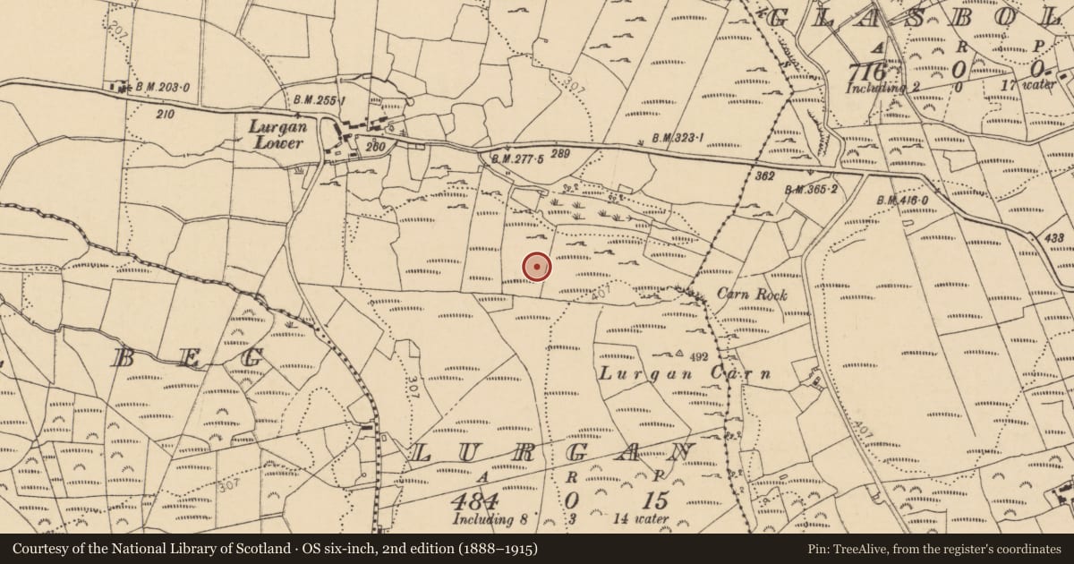 Ordnance Survey six-inch map, 2nd edition (1888–1915) covering the location of Enclosure, Lurgan, County Donegal, with a pin at the register's coordinates