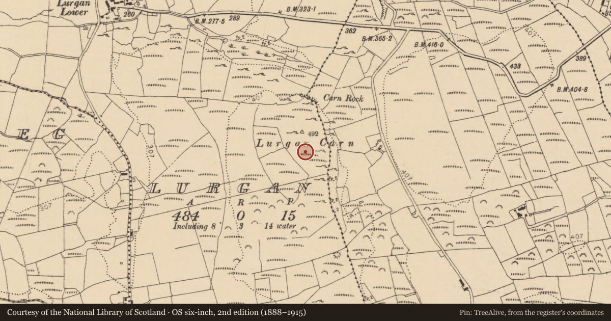 Ordnance Survey six-inch map, 2nd edition (1888–1915) covering the location of House - indeterminate date, Lurgan, County Donegal, with a pin at the register's coordinates