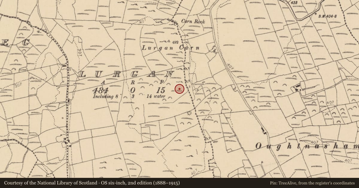 Ordnance Survey six-inch map, 2nd edition (1888–1915) covering the location of Enclosure, Lurgan, County Donegal, with a pin at the register's coordinates